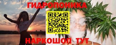 гидропоника Пенза