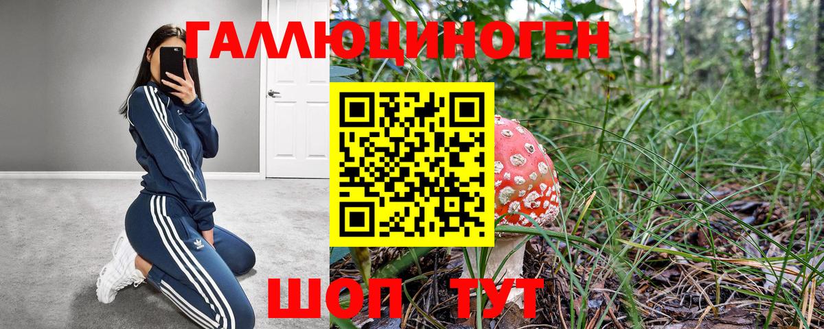 Псилоцибиновые грибы мицелий Сафоново